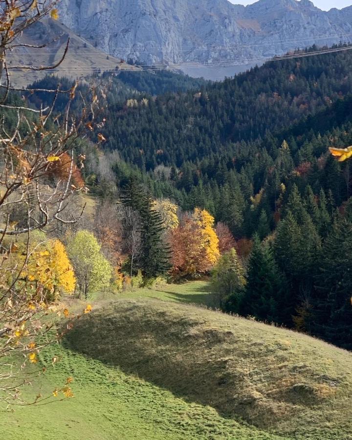 Bel Appart 3* Centre Village Villard-de-Lans Εξωτερικό φωτογραφία