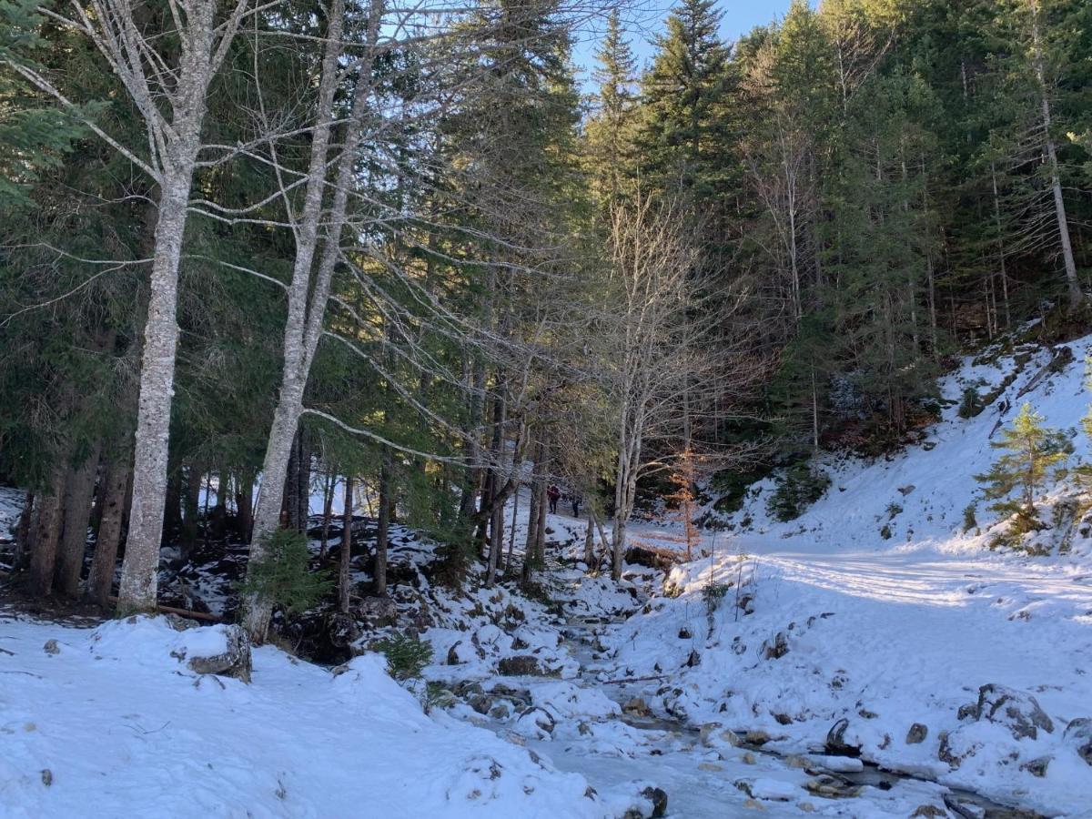 Bel Appart 3* Centre Village Villard-de-Lans Εξωτερικό φωτογραφία
